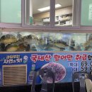 한일회센타 이미지