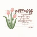 에벤에셀 Daum카페