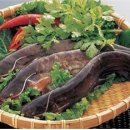백세전복식품
