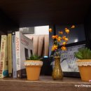 쿠킹가이 이미지