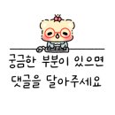 실버레빗 이미지