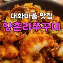 양촌리마을 | 불맛 가득한 쭈꾸미와 인생 돈까스의 만남! <양촌리 쭈꾸미 대화점> 솔직 리뷰