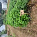 유정농장 이미지