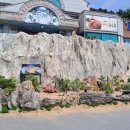 장사해돋이 휴게소 이미지