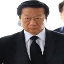 와일드캣 이미지