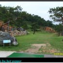 진산골프연습장 이미지