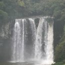 천지연폭포 이미지