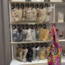 딩동댕 애견 카페 이미지