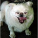 수월산방 이미지