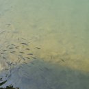 마산 봉암수원지 이미지