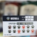 멍앤멍스 이미지