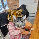 심청농장 | 양평 외갓집체험마을 겨울 주말 1박 2일 후기