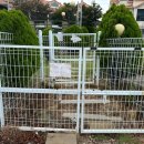 사랑애견펜션 이미지