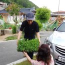 강남동-10 이미지