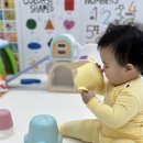 톡톡 | 핀덴 베베+톡톡+베베미니+톡톡미니 전집 구매후기