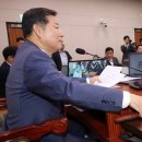 솜방망이 이미지