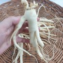 삼마농장 | 부모님어버이날선물추천 센스있는 인삼선물세트