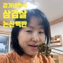 강가네식당 | 논산맛집 강가네 한식에서 즐긴 푸짐한 삼겹살 논산가정식 식당 요리