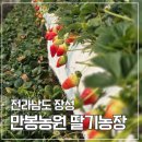 만봉스토어 네이버블로그