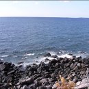 올리브모텔 이미지