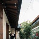 스테이 월화 이미지