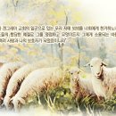 [성경인물-뵈뵈] 하나님의교회 모든 성도들은 뵈뵈의 믿음을 본받자. 이미지