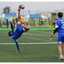 진남스포츠주