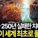세계가 250년간 못푼 난제, 한국이 세계 최초로 풀었습니다. 밝혀낸 뇌 속 하수도의 비밀 이미지