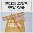 우리덴탈 | 캣디피 덴탈 고양이 칫솔 고양이 구내염 증상 부드러운 고양이 칫솔 추천