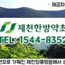 자라난 약초 이미지