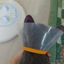 호크종합동물병원 이미지