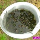 논골농장 이미지