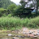 신대리야영장 이미지