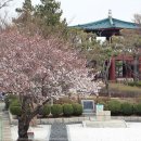 금련산청소년수련원 이미지