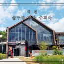 현충원본가 | 자연 속 힐링가능한 대전 현충원 맛집 숲속의 닭도리탕 솥뚜껑 본가 수피아