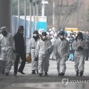 메타폴리스(중) 이미지