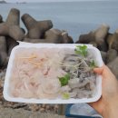 해암정보시스템