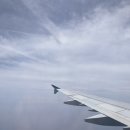 야스미 스테이 | 4월 제주도, 2박 3일 가족여행 1탄