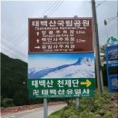 상동읍 칠량이골 1 (상동읍-5) | 화방재-영월_1/3