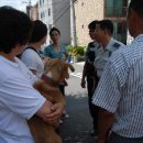 서명농장 이미지