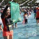 [전라남도 가볼만한 곳 / 보성 여행코스 / 보성 녹차밭 / 율포해수욕장 전어축제 / 여수 엑스포 / 가을 여행지] 이미지