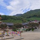 제14호문화 이미지