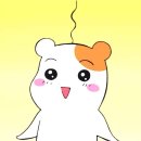 여주-1123 이미지