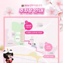 봉황대운동장 | 김천 연화지 벚꽃축제기간 일정 먹거리 주차 아이랑 데이트