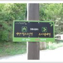 소사생태길(백일) 이미지