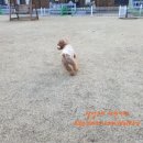 다민 이미지