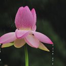 한국카메라박물관 이미지