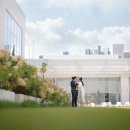 돌이가든 이미지