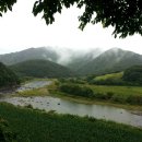 괴목뒷골 이미지