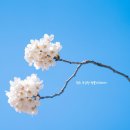 보청천 옥천-13 이미지